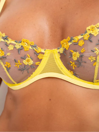#color_yellow